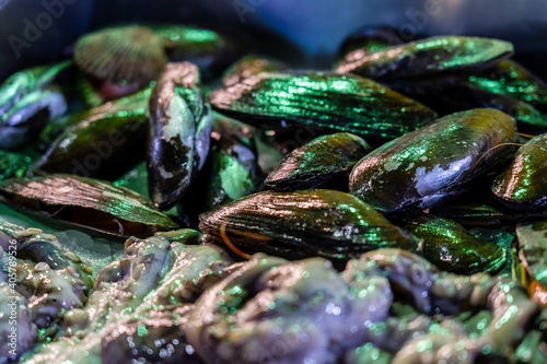 Closeup of fresh seafood on the fish market counter