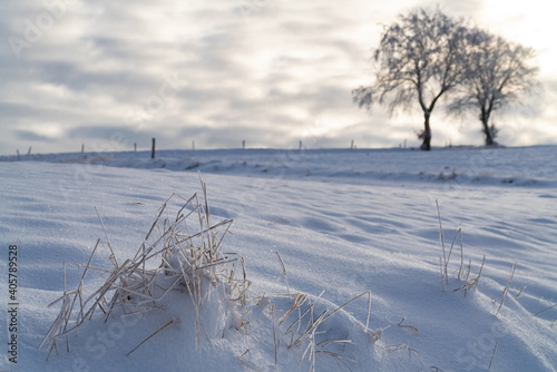 Winter Wunderland Landschaft Sauerland Schnee Himmel Wolken Sonne Morgen Stimmung Atmosphäre Bäume Silhouetten Horizont Gras Wiese Feld Zaun Iserlohn Deutschland Kesbern Weihnachten Idyll Eis kalt 
