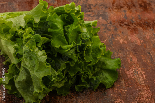 Green lettuce salad heap leaves