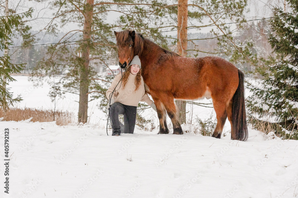 Icelandic horse in wintery scene in Finland Icelandic horse in wintery scene in Finland