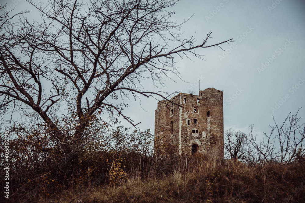 Harz | Burgruine Arnstein