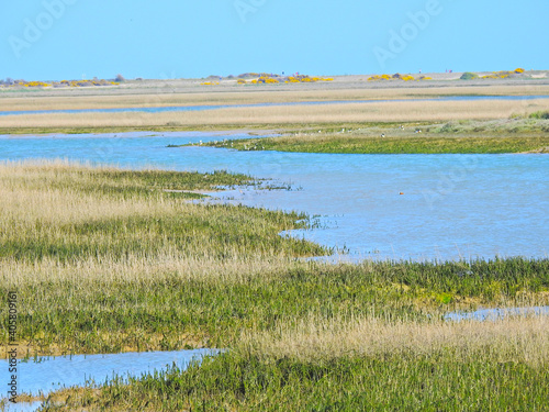 View of the wetlands, floodplain