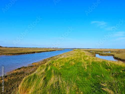 View of the wetlands  floodplain
