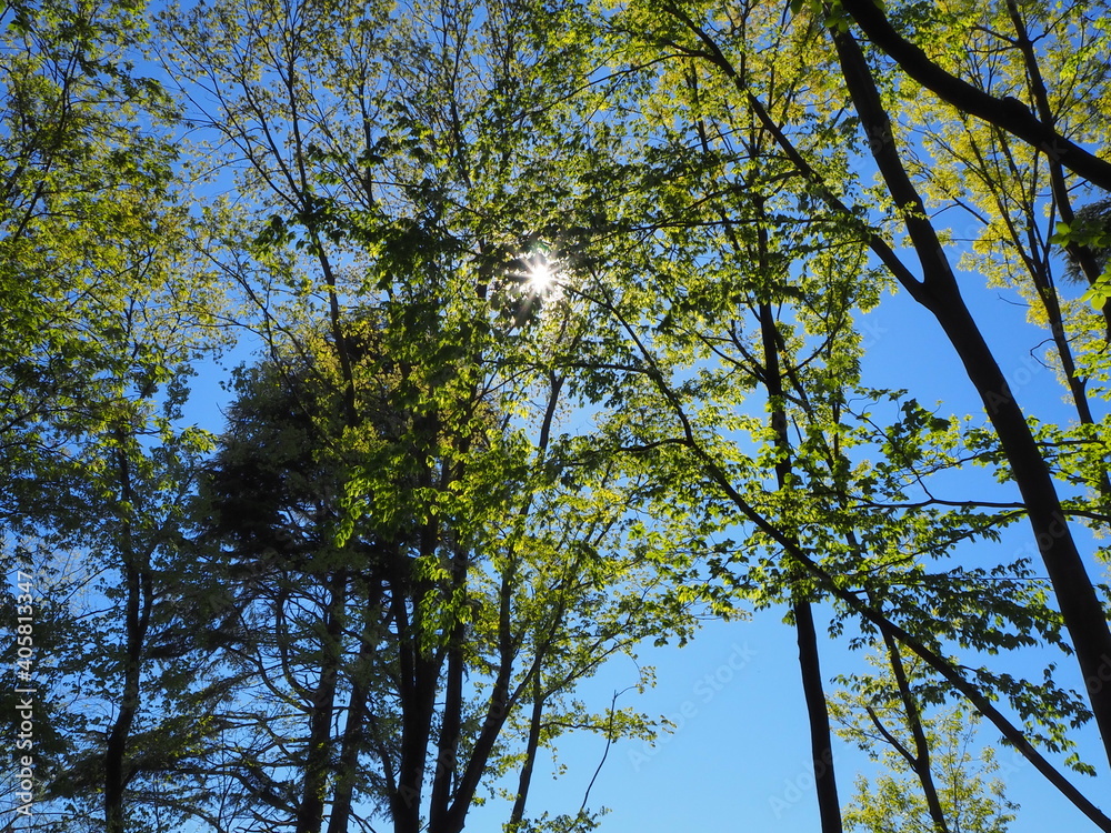 Obraz premium OLYMPUS DIGITAL CAMERA