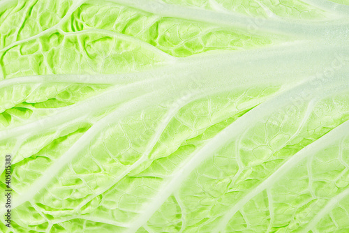 Green lettuce leaf close up. Macro.