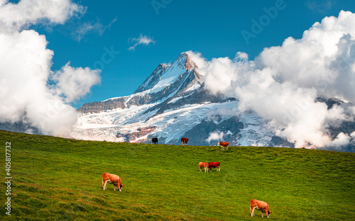 nature, created by nature, view, sky, purity, untouched, pure, sunny, without humans, earth, innocence, flora, plants, planet earth, travel, realx, peace, rest, tranquility, vacation, freedom, space, 