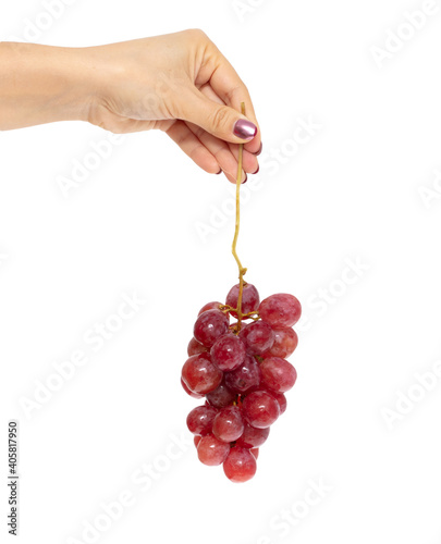 Red grapes in hand isolated on white