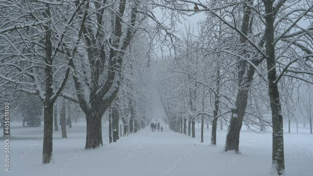 People are having fun walking along the scenic avenue during a severe snowstorm. Unrecognizable pedestrians explore the beautiful park in Ljubljana during a blizzard. Snowy Christmastime in Slovenia. People are having fun walking along the scenic avenue during a severe snowstorm. Unrecognizable pedestrians explore the beautiful park in Ljubljana during a blizzard. Snowy Christmastime in Slovenia.