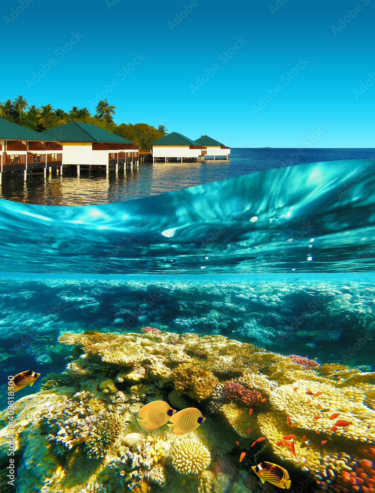 tropical beach with beautiful underwater world