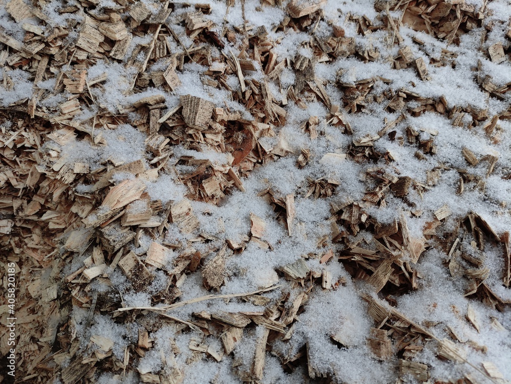 Alternative fuel, ecological fuel, biofuel Wood sawdust, sawdust close-up background. Sawdust texture Alternative fuel, ecological fuel, biofuel Wood sawdust, sawdust close-up background. Sawdust texture