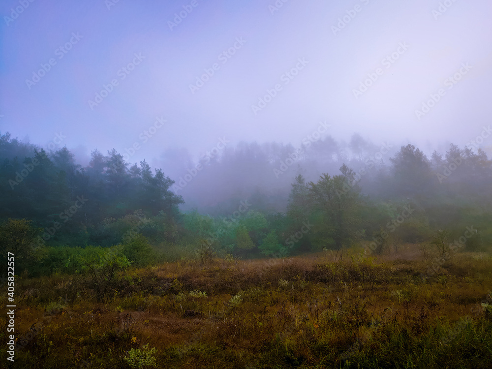Foggy landscape with forest on the mountain. Coniferous forest on a hill in thick fog. Mystical fog over the forest.