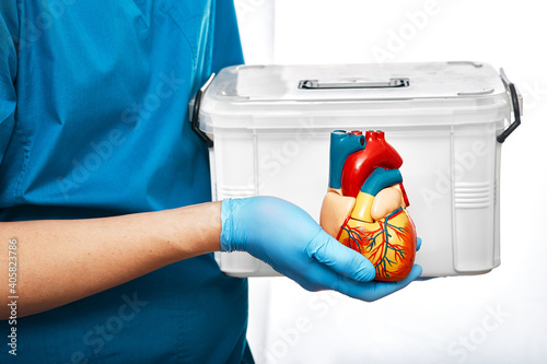 Cardiac surgeon with organ transport and anatomical model of the human heart, on a white background. Concept of a heart transplant and organ donation photo