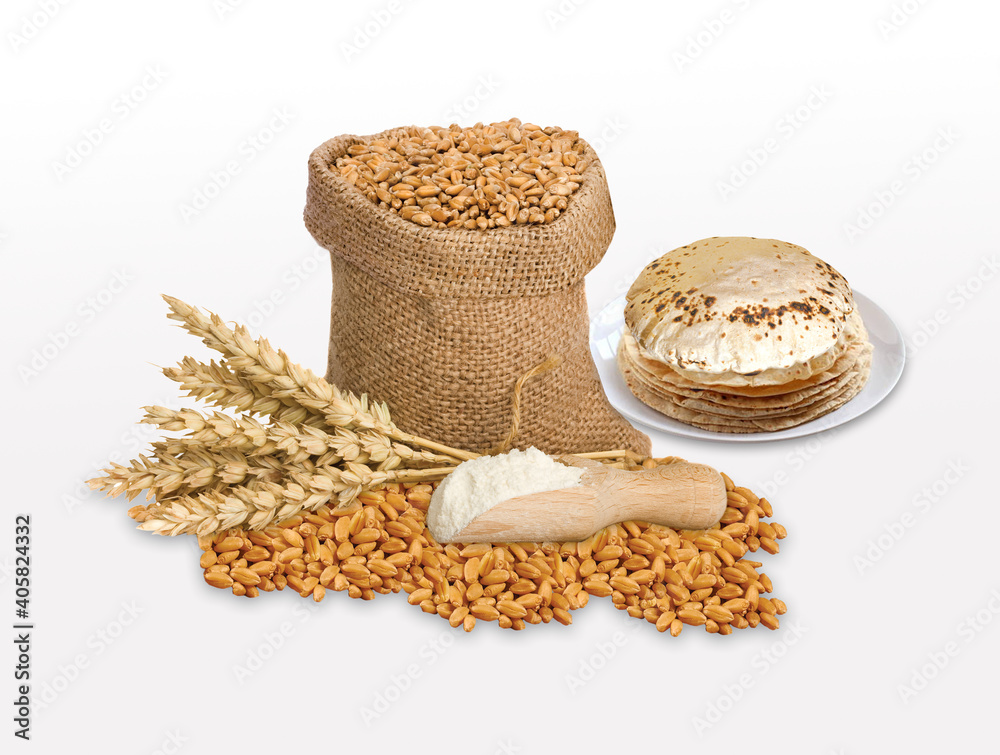 Indian Chapati, Fulka or Gehu Roti with wheat grains in background. It ...