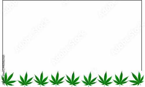Blank for designers with copy spice with marijuana leaves on a white background.