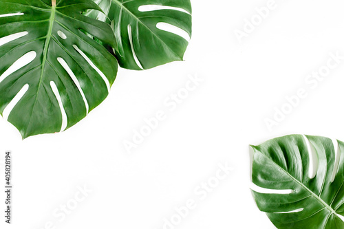 Tropical palm leaves Monstera on white background. Flat lay, top view.
