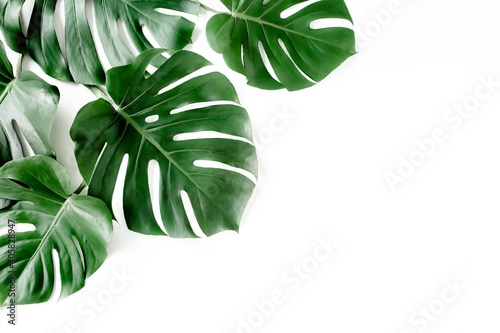 Tropical palm leaves Monstera on white background. Flat lay, top view.