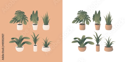 Vector illustration set of indoor plants with beautiful gradient. Most popular houseplants such as monstera, begonia, snake plant, bush lily, aloe vera, and lucky bamboo. EPS 2. © Mahindraguna