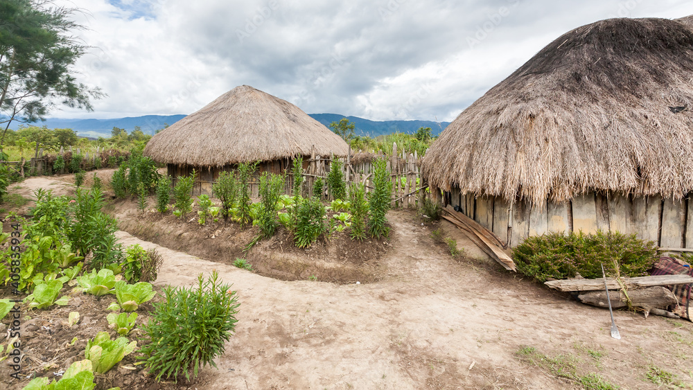 Traditional Dani village Wamena in Baliem Valley in Indonesia, Papua New Guinea.