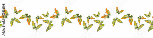 Canvas Print Butterfly seamless pattern, banner, border background
