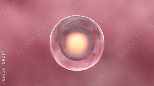 Human Cell, 3D Rendering.