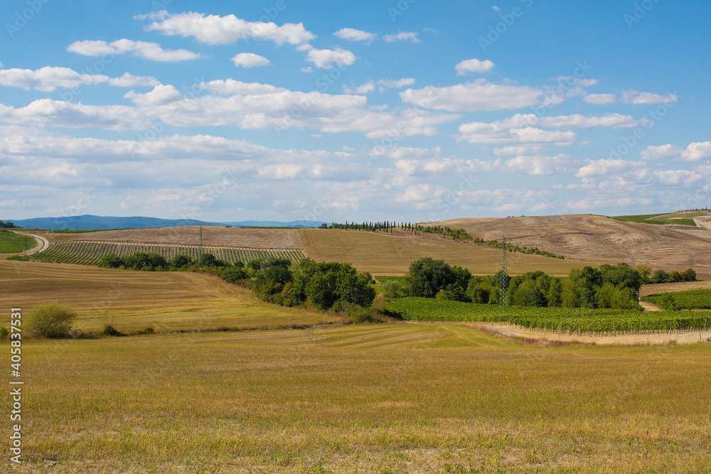 The late summer landscape around Montalcino in Siena Province, Tuscany, Italy