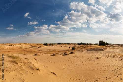 Beautiful desert landscape with dunes. Walk on a sunny day on the sands.