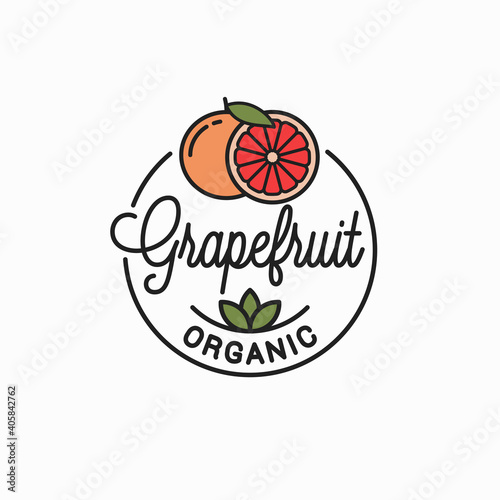 Orange fruit logo. Round linear logo of orange