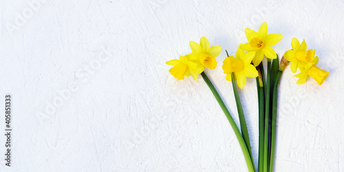 bunch of daffidils on white wooden background, copy space photo