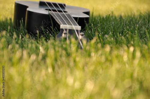 guitar on the grass