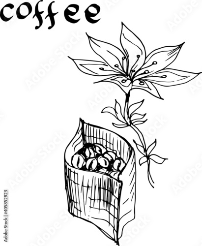 Coffee, plant, drink. Cappuccino, ristretto, breakfast. Graphic hand-drawn illustration. Print, textile, vector. Separate elements on a white background.
