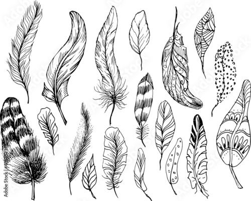 Feathers boho style. graphic illustration hand-drawn, vector. Print, textile, vintage, retro, doodle, sketch.