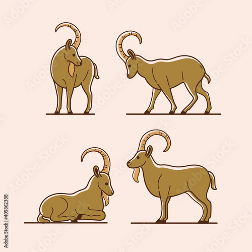 Ibex icon set. Different type of animal. Vector illustration for emblem  badge  insignia.