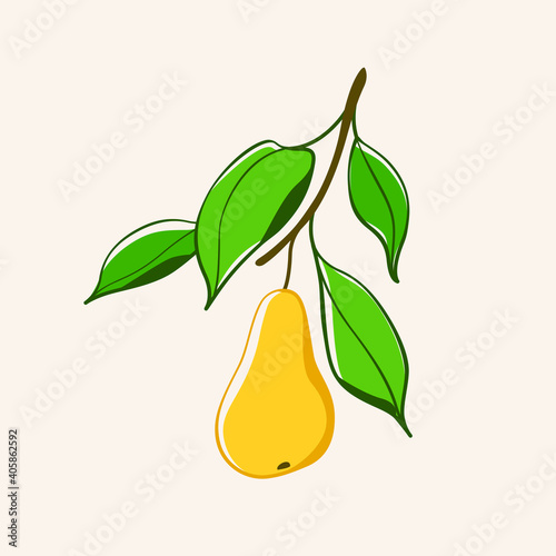 Branch of pear tree. Flat vector contour illustration.