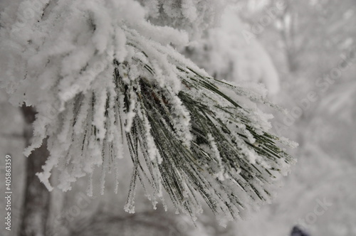 wanderful snow photo. white color photo