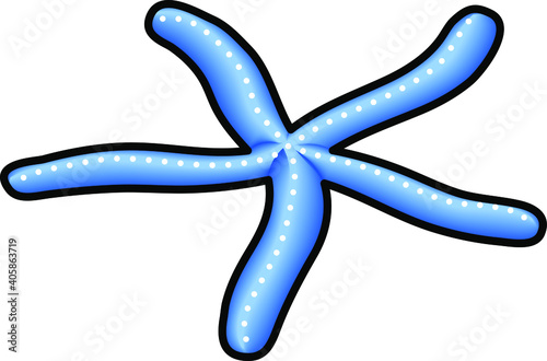 A blue sea star.