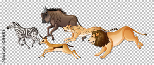 Group of wild African animals on transparent background