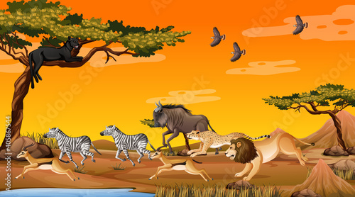 Group of Wild African Animal in the forest scene