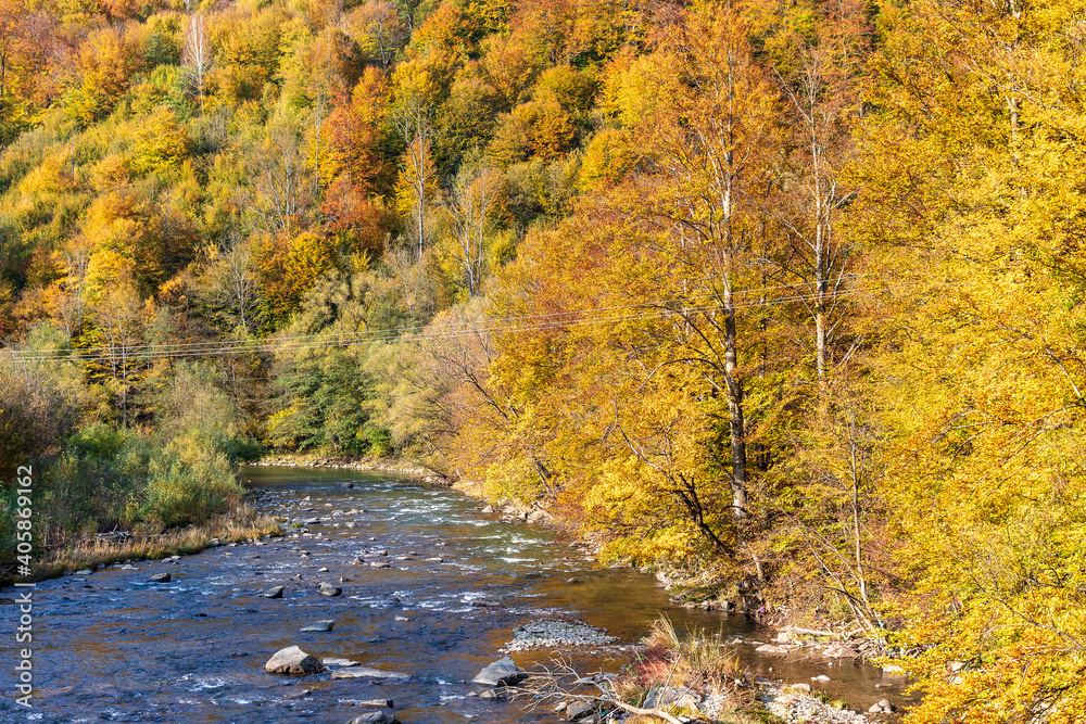 Autumn landscape in a mountain valley - yellow and red trees combined with green needles along the banks of the river with rocky banks. Colorful autumn landscape scene in the Ukrainian Carpathians. Autumn landscape in a mountain valley - yellow and red trees combined with green needles along the banks of the river with rocky banks. Colorful autumn landscape scene in the Ukrainian Carpathians.