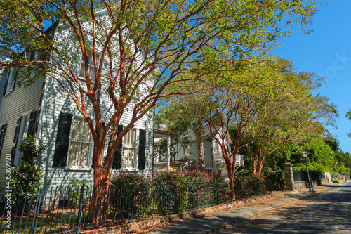 Southern homes in Charleston  South Carolina