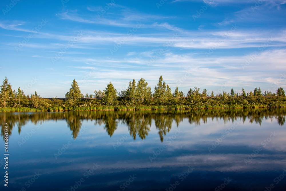 reflection of trees in water