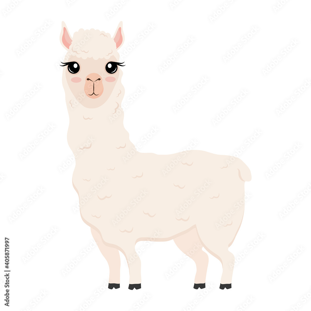 cute alpaca exotic animal character vector illustration design