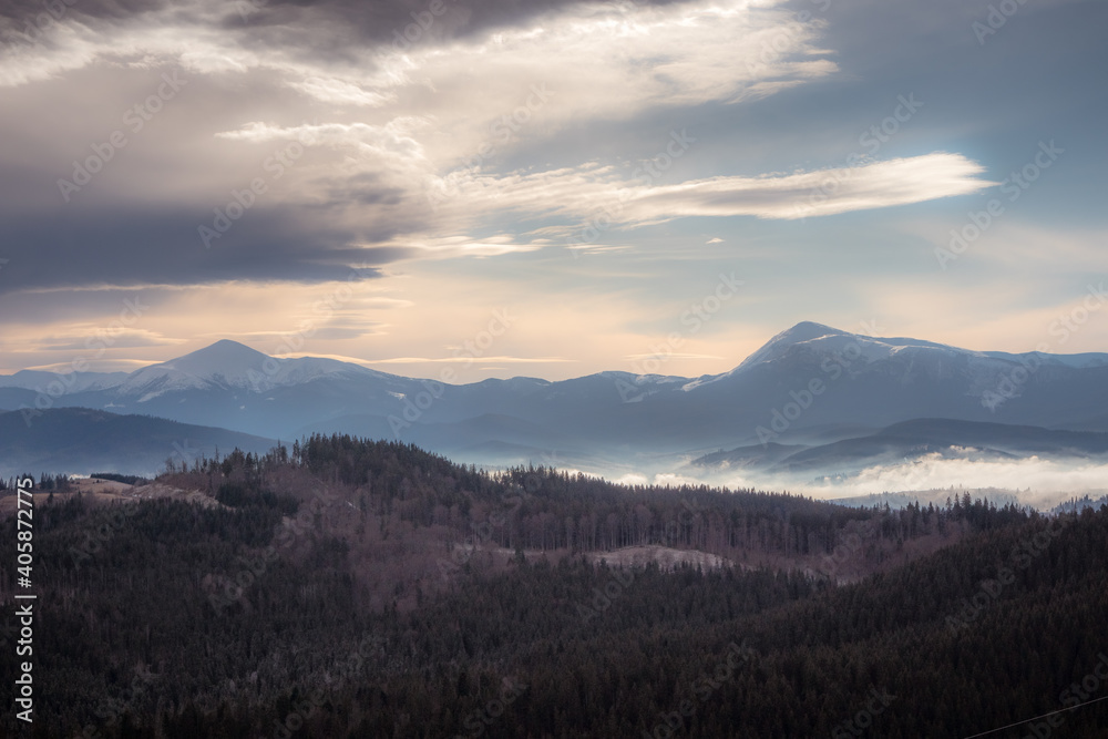 forest in the Carpathians in winter and Mount Hoverla forest in the Carpathians in winter and Mount Hoverla