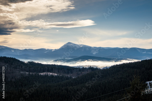 forest in the Carpathians in winter and Mount Hoverla