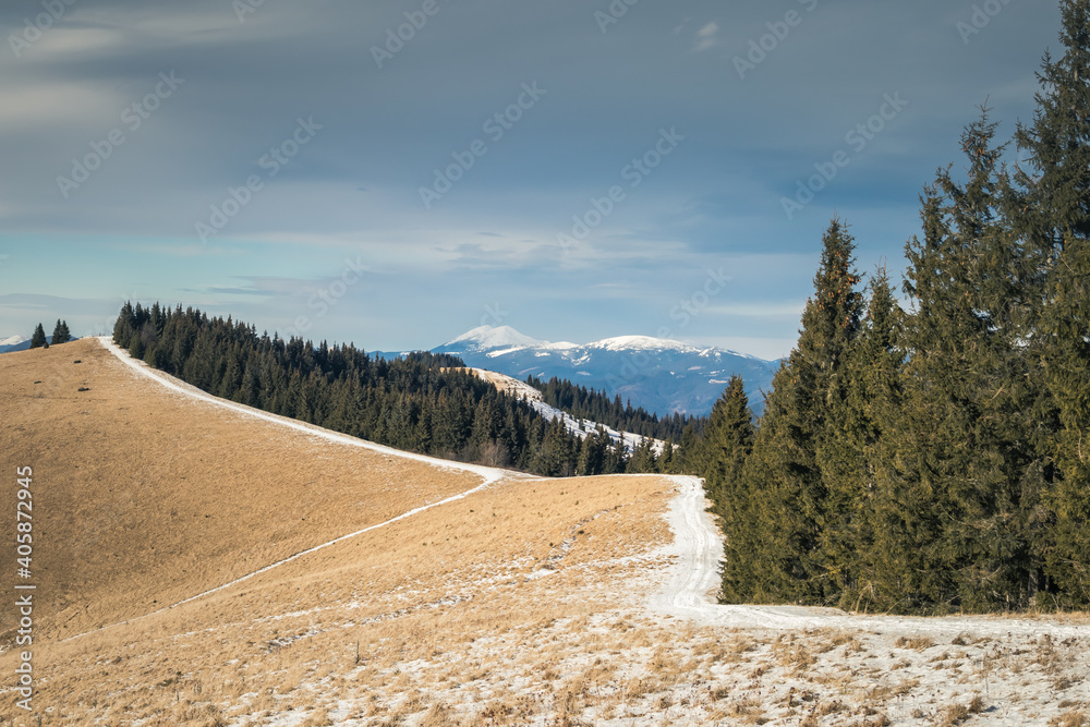 snow-covered path in the Carpathian mountains in winter snow-covered path in the Carpathian mountains in winter