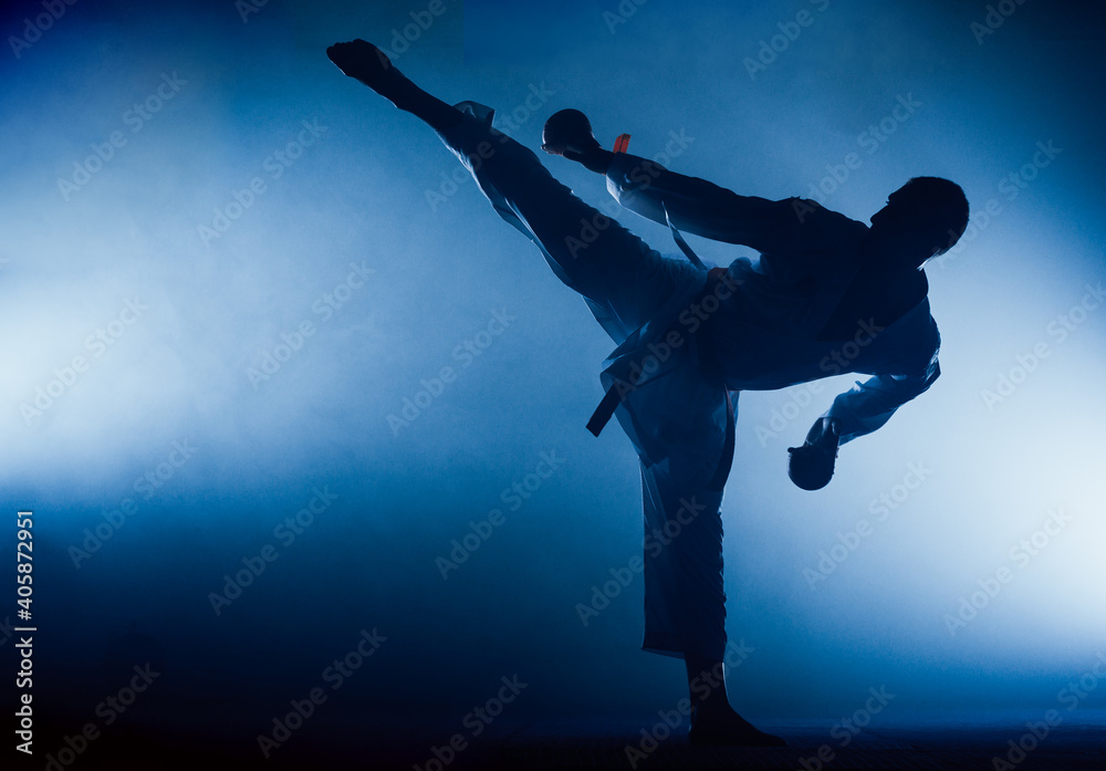 Martial arts master on fight training in gym Martial arts master on fight training in gym