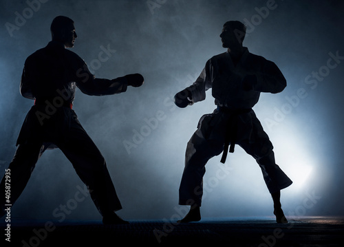 Professional karate silhouette fighter kicking. Isolated on a white background