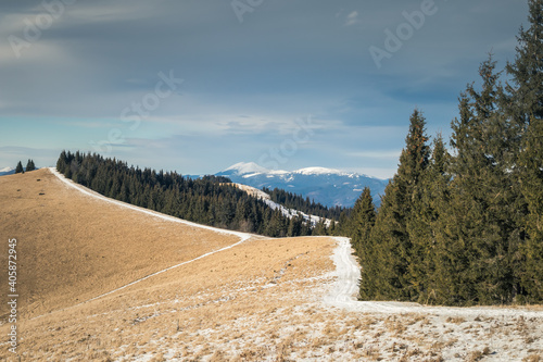 snow-covered path in the Carpathian mountains in winter