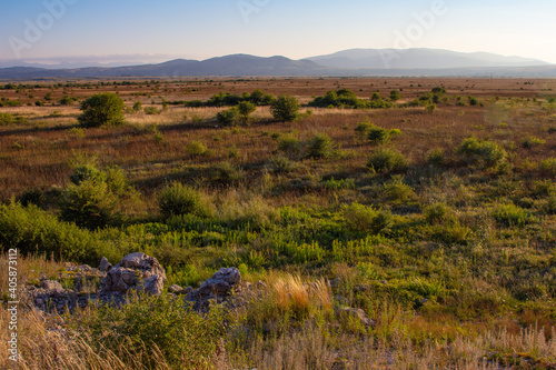 Mediterranean shrubland in summer photo