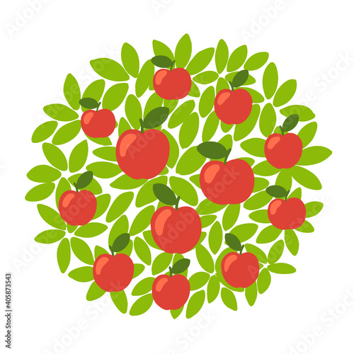Red apple fruits tree. Against the round background of the crown and leaves. Orchard garden harvest. Vector.