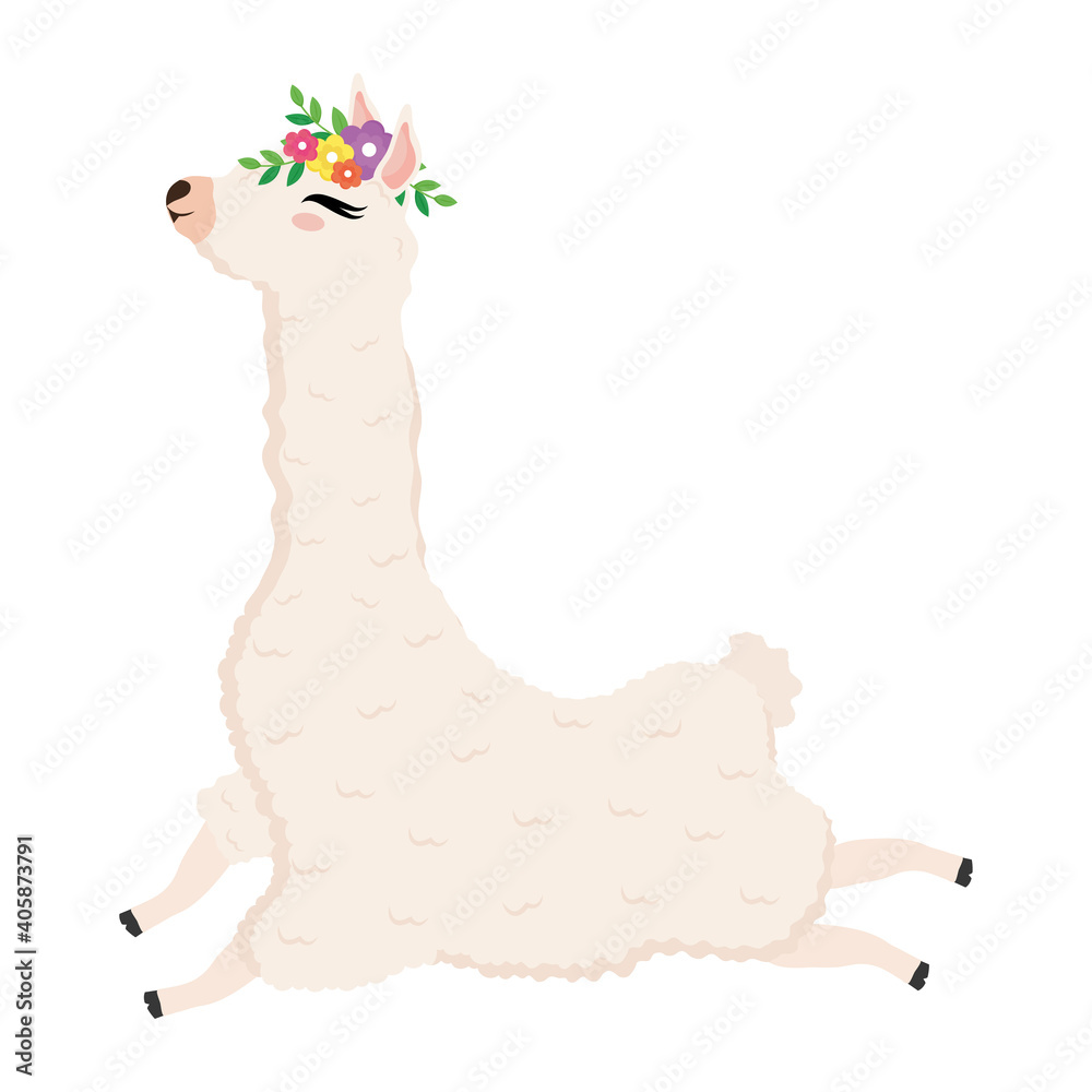 Fototapeta premium cute alpaca exotic with flowers decoration in head vector illustration design